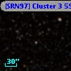 [SRN97] Cluster 3  594