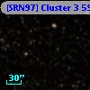 [SRN97] Cluster 3  595
