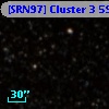 [SRN97] Cluster 3  596