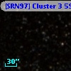 [SRN97] Cluster 3  598