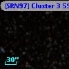 [SRN97] Cluster 3  599