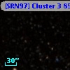 [SRN97] Cluster 3  851
