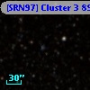 [SRN97] Cluster 3  899