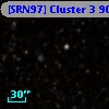 [SRN97] Cluster 3  901