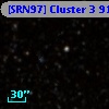 [SRN97] Cluster 3  914