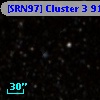 [SRN97] Cluster 3  916