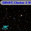 [SRN97] Cluster 3  951