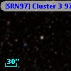 [SRN97] Cluster 3  978