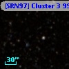 [SRN97] Cluster 3  995