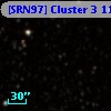 [SRN97] Cluster 3 1171
