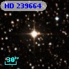 HD 239664