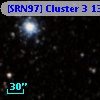 [SRN97] Cluster 3 1313