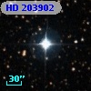 HD 203902