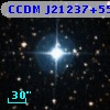 CCDM J21237+5518AB