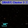 [SRN97] Cluster 3 2313