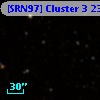 [SRN97] Cluster 3 2351