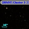 [SRN97] Cluster 3 2388