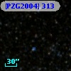 [PZG2004] 313