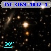 TYC 3169-1042-1