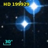 HD 199929