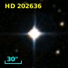 HD 202636