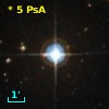*   5 PsA