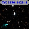 TYC 3970-1428-1