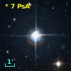 *   7 PsA