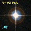 V* VX PsA