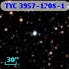 TYC 3957-1208-1