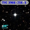 TYC 3966-256-1