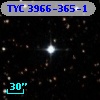 TYC 3966-365-1