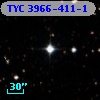 TYC 3966-411-1