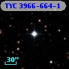 TYC 3966-664-1