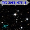 TYC 3966-675-1