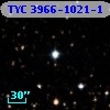 TYC 3966-1021-1