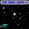 TYC 3966-1078-1