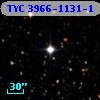 TYC 3966-1131-1