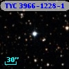 TYC 3966-1228-1