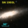 SN 1993L