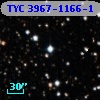 TYC 3967-1166-1