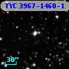TYC 3967-1460-1