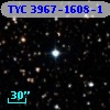 TYC 3967-1608-1