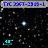 TYC 3967-2918-1