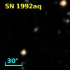 SN 1992aq