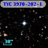 TYC 3970-202-1