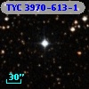 TYC 3970-613-1