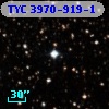 TYC 3970-919-1