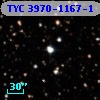 TYC 3970-1167-1