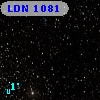 LDN 1081